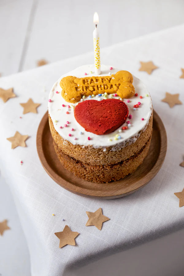 Life of Riley Grain Free Dog Birthday Cake