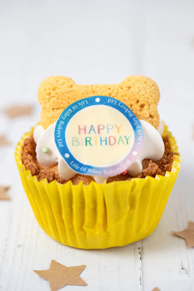 Life of Riley Grain Free Dog Birthday Pupcake
