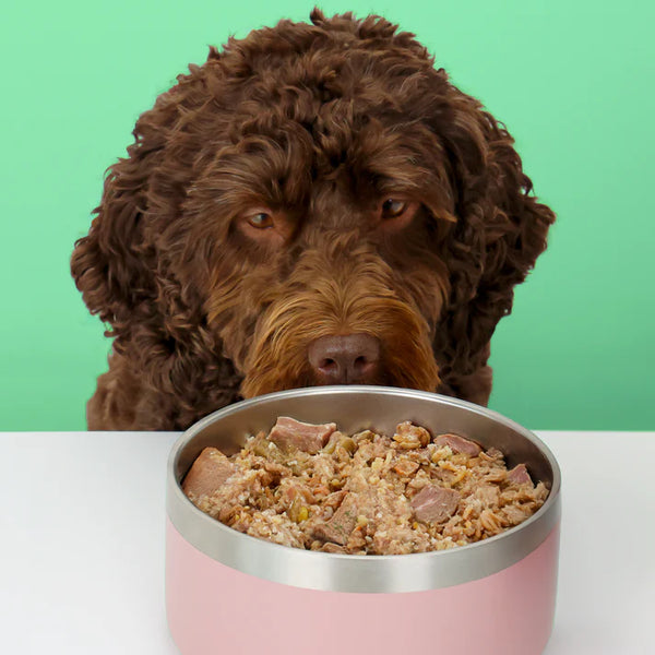 Wilsons Pet Food - Venison & Duck Fresh Dog Food