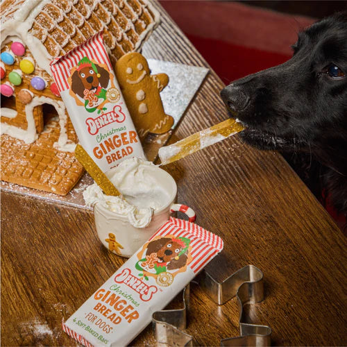 Denzel's Christmas Gingerbread Bars