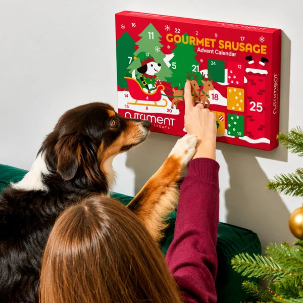 Gourmet Sausage Dog Advent Calendar