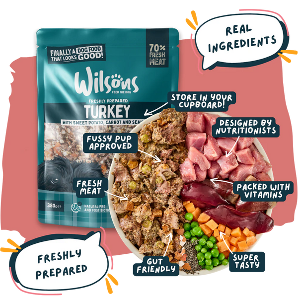 Wilsons Pet Food - Turkey Fresh Dog Food