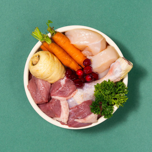 Pooch & Mutt Three Bird Feast Wet Food Dog's Christmas Dinner