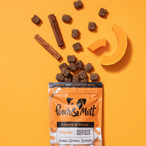 Pooch & Mutt Pumpkin Spice Meaty Treats