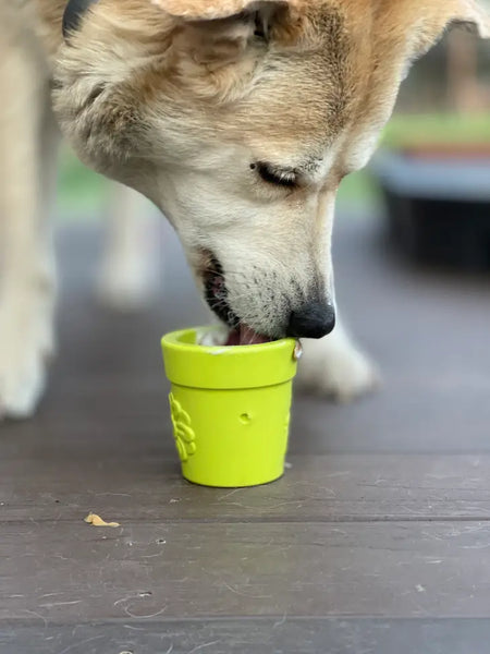 Sodapup Flower Pot Durable Rubber Treat Dispenser & Enrichment