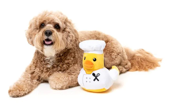 Fuzzyard Gordon Quacksay Dog Toy