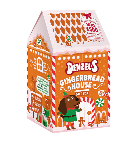 Denzel's Christmas Gingerbread House Treat Box