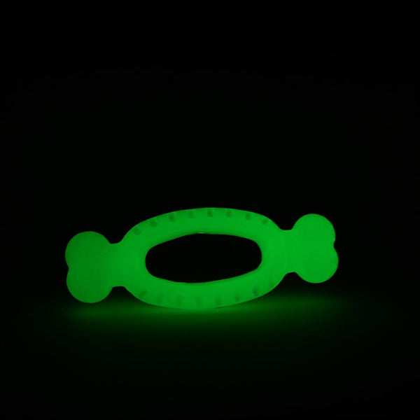 Great & Small Glow in the Dark Glow Bone Ring Dog Toy