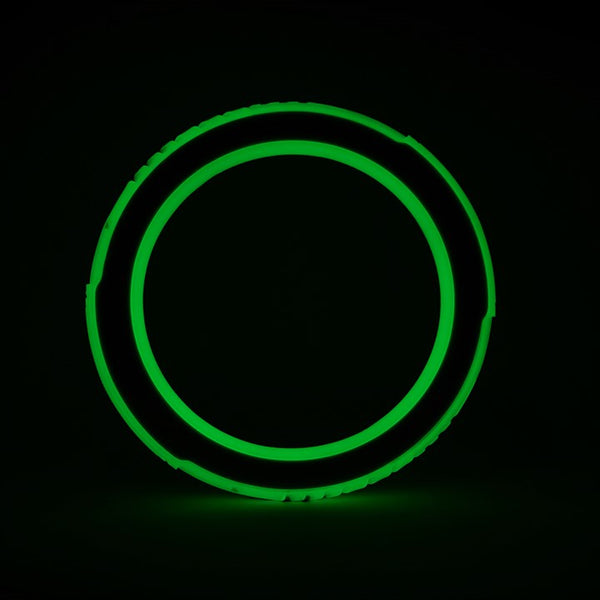 Great & Small Glow in the Dark Glow Ring Dog Toy