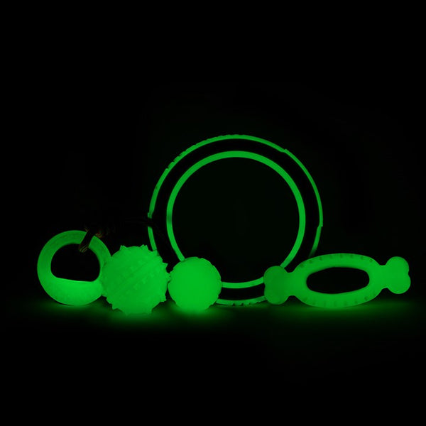Great & Small Glow in the Dark Glow Ring Dog Toy