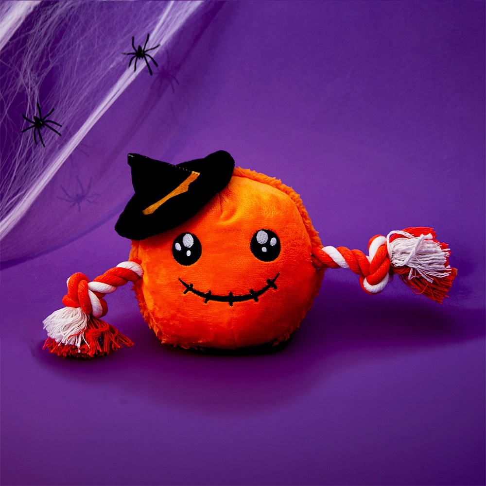 Great & Small Creepy Cuties Pumpkin Scarecrow Head Dog Toy