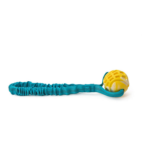 Great & Small Frubba Play & Throw Short Dog Toy