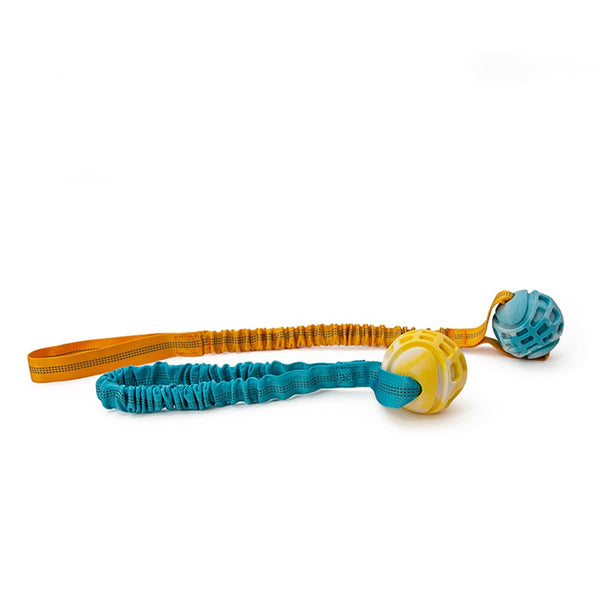 Great & Small Frubba Play & Throw Short Dog Toy
