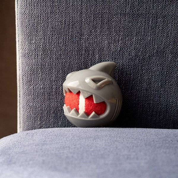 Great & Small Stay Wild Shark with Tennis Ball Dog Toy