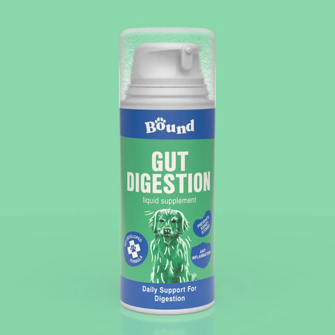 Bound Pets - Gut Digestion Daily Liquid Supplement
