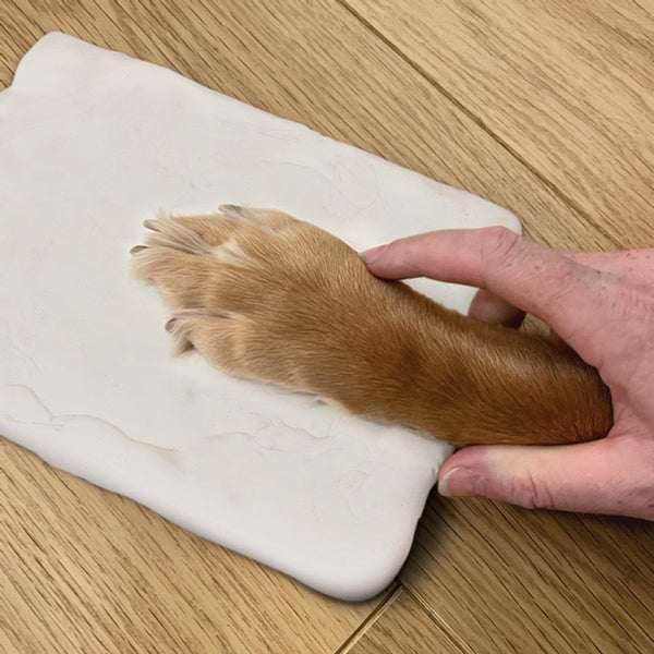 Oh So Precious Paw Print Clay Mould & Photo Frame Kit