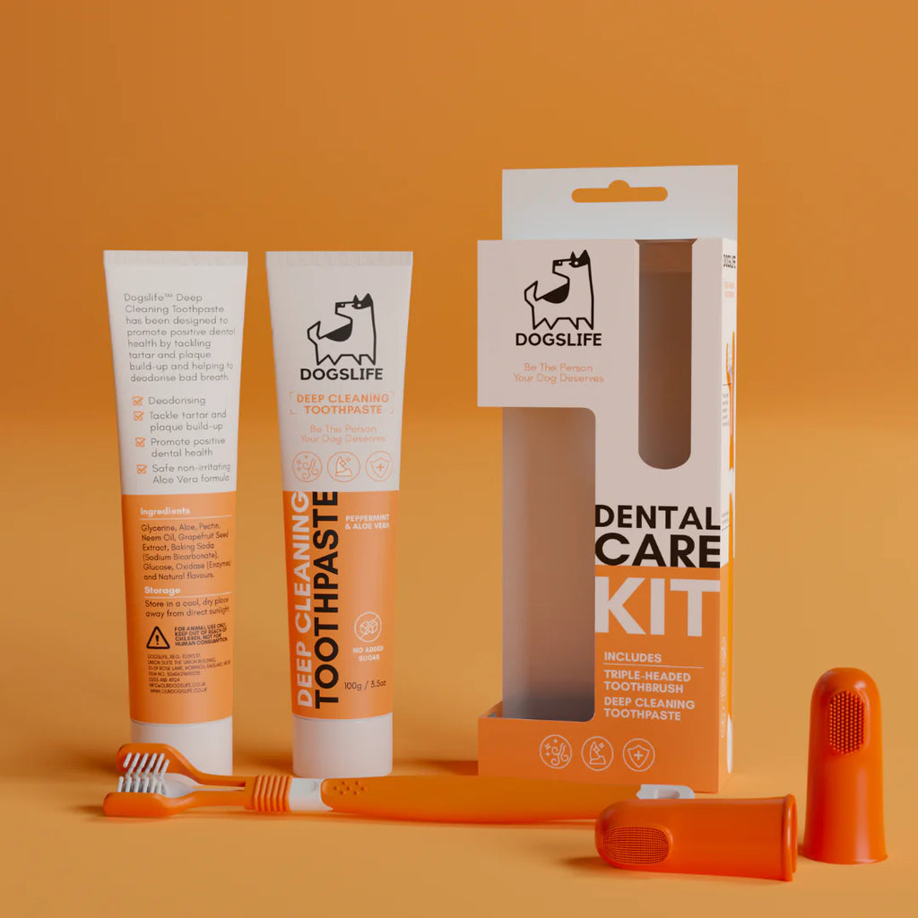 DogsLife Dental Care Kit