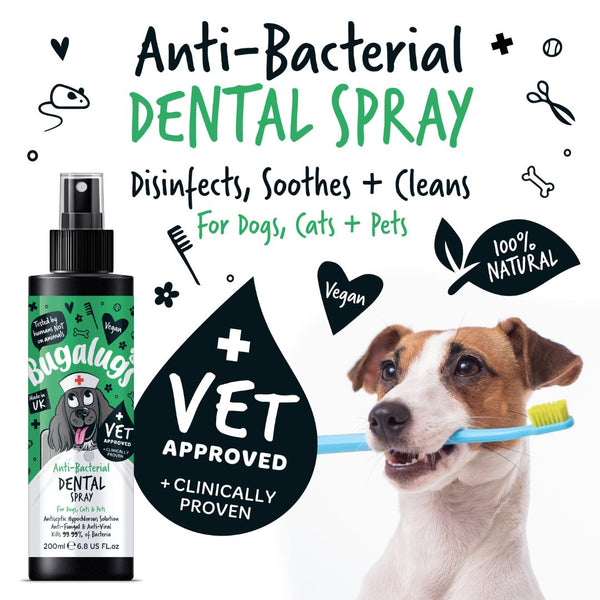 Bugalugs Anti-Bacterial Dental Spray