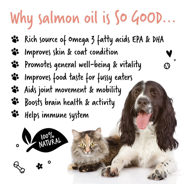 Bugalugs Scottish Salmon Oil