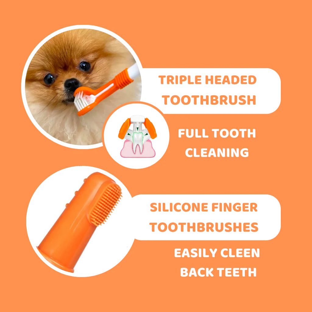 DogsLife Dental Care Kit Wags Whiskers Pet Boutique Canine Cafe