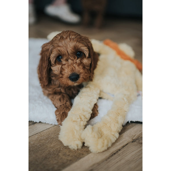 My Dog - Lion Seperation Anxiety Comfort Toy