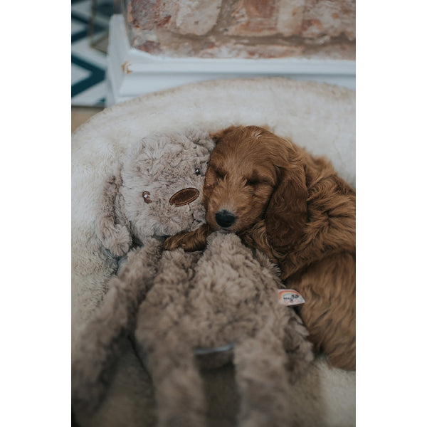 My Dog - Dog Seperation Anxiety Comfort Toy