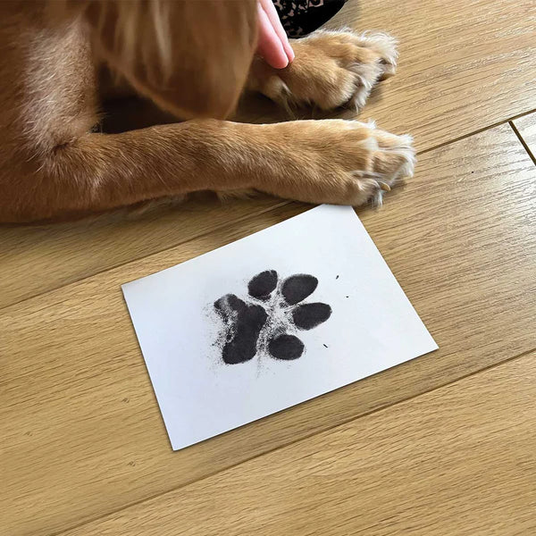 Oh So Precious Pet Paw Print Ink Kit