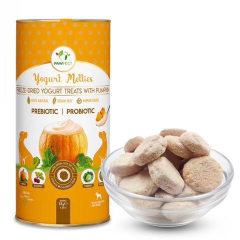 Pawfect Yoghurt Melties Prebiotic and Probiotic Treats - Pumpkin