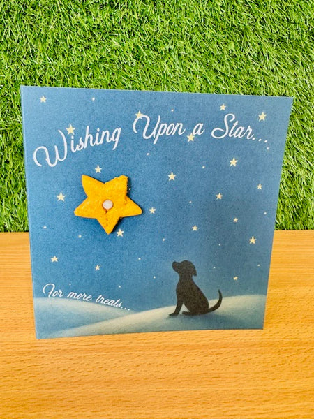Life of Riley Treatings Greeting Card - Wishing Upon A Star