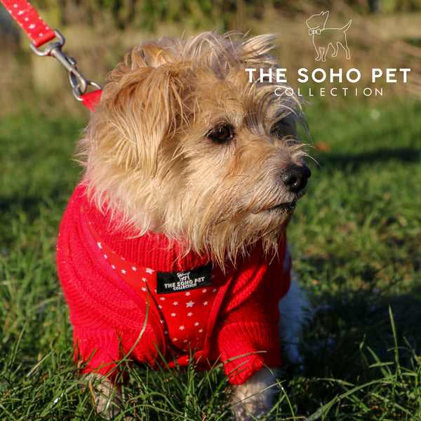 SOHO Pet Tartan/Star Reversible Harness