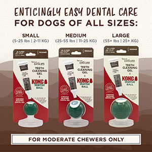 TropiClean & Kong Enticers Dental Ball Kit - Smoked Beef Brisket Flavour