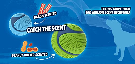 Chuckit! Sniff Fetch Peanut Butter Scented Ball Dog Toy