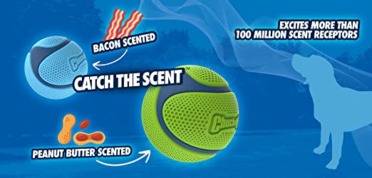 Chuckit! Sniff Fetch Bacon Scented Ball Dog Toy
