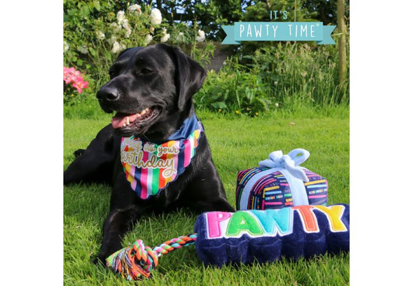 Ancol Pawty Bandana