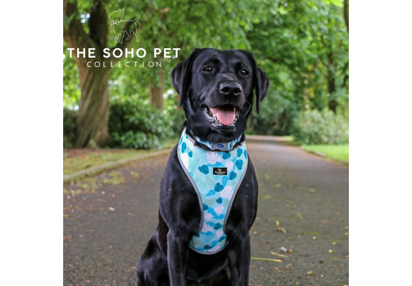 SOHO Pet Stripe/Leaf Reversible Harness