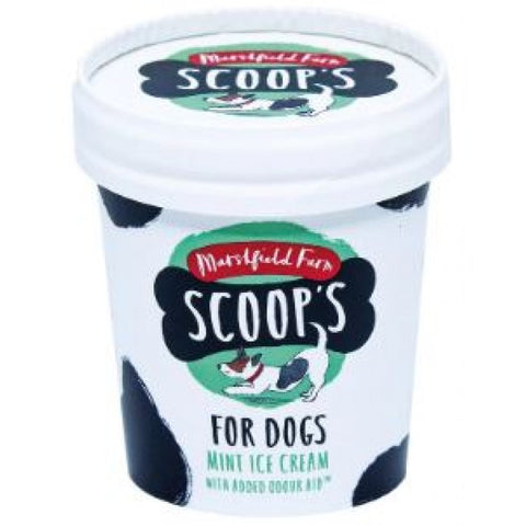 Scoops for Dogs Ice Cream - Mint