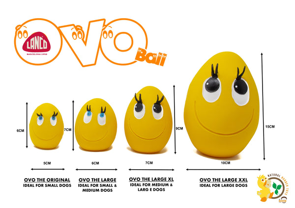 OVO The Egg Large 4 Set