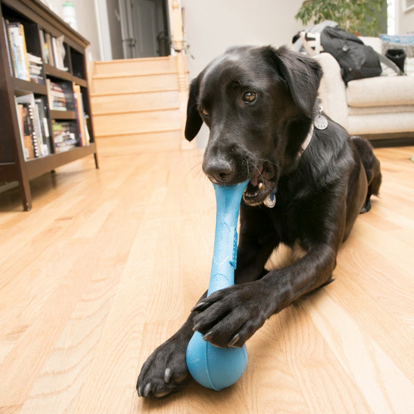 KONG SqueakStix Dog Toy