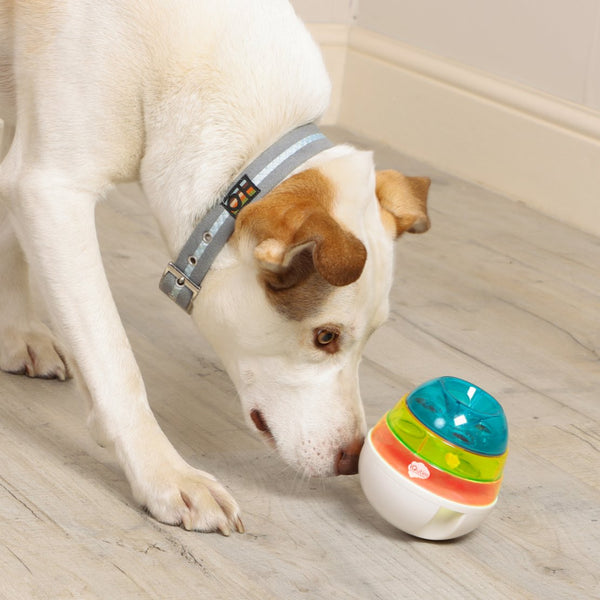 Iquties Active Training Wobbler