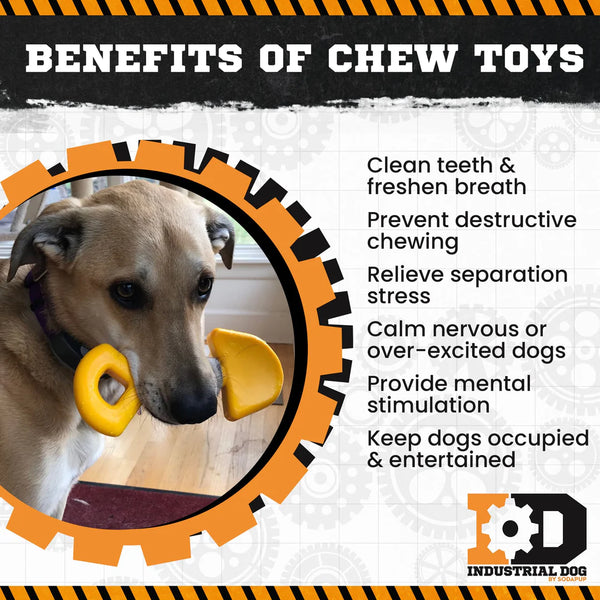 SodaPup Shovel Tough Chew Toy