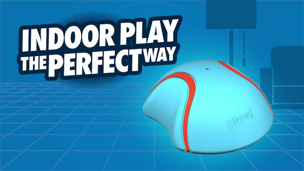 Chuckit!® Indoor Super Slider Dog Toy