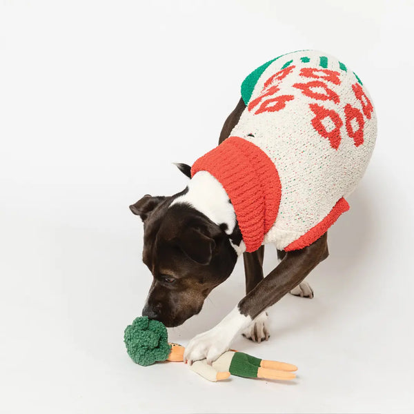 The Furryfolks Hooman Nose Work Toy