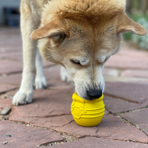 SodaPup Large Honey Pot Durable Rubber Treat Dispenser & Enrichment